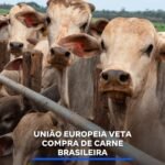 UNIÃO EUROPEIA VETA COMPRA DE CARNE BRASILEIRA UNIÃO EUROPEIA VETA COMPRA DE CARNE BRASILEIRA