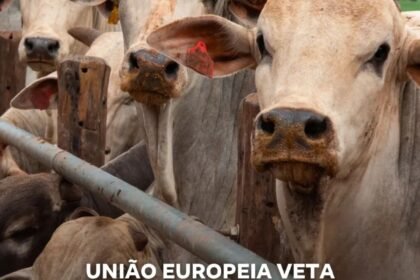 UNIÃO EUROPEIA VETA COMPRA DE CARNE BRASILEIRA