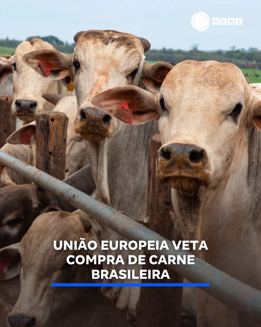 UNIÃO EUROPEIA VETA COMPRA DE CARNE BRASILEIRA UNIÃO EUROPEIA VETA COMPRA DE CARNE BRASILEIRA