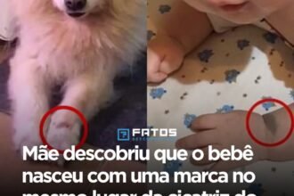 Mãe descobriu que o bebê nasceu com uma marca no mesmo lugar da cicatriz do seu cachorro, que morreu no dia em que ela engravidou