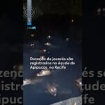 Dezenas de jacarés são registrados no Açude de Apipucos, no Recife Dezenas de jacarés são registrados no Açude de Apipucos, no Recife