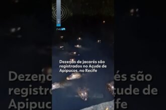 Homem sai para encontro e é surpreendido por assaltantes; vítima foi feita refém e teve caminhonete roubada