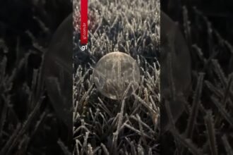 Com -4,6°C, Sul de Minas tem uma das manhãs mais frias do ano e congela até camisa da Seleção Com -4,6°C, Sul de Minas tem uma das manhãs mais frias do ano e congela até camisa da Seleção