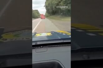 Durante fuga, traficante capota carro com 200 kg de maconha em Santa Catarina