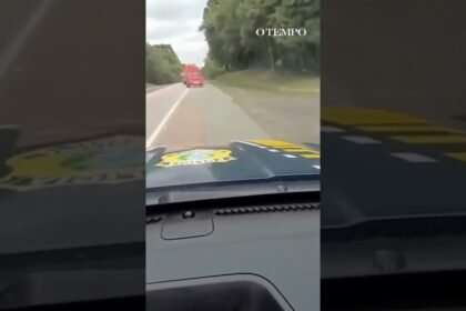 Durante fuga, traficante capota carro com 200 kg de maconha em Santa Catarina