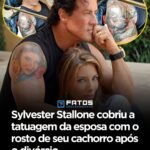 Sylvester Stallone cobriu a tatuagem da esposa com o rosto de seu cachorro apósdivórcio Sylvester Stallone cobriu a tatuagem da esposa com o rosto de seu cachorro apósdivórcio