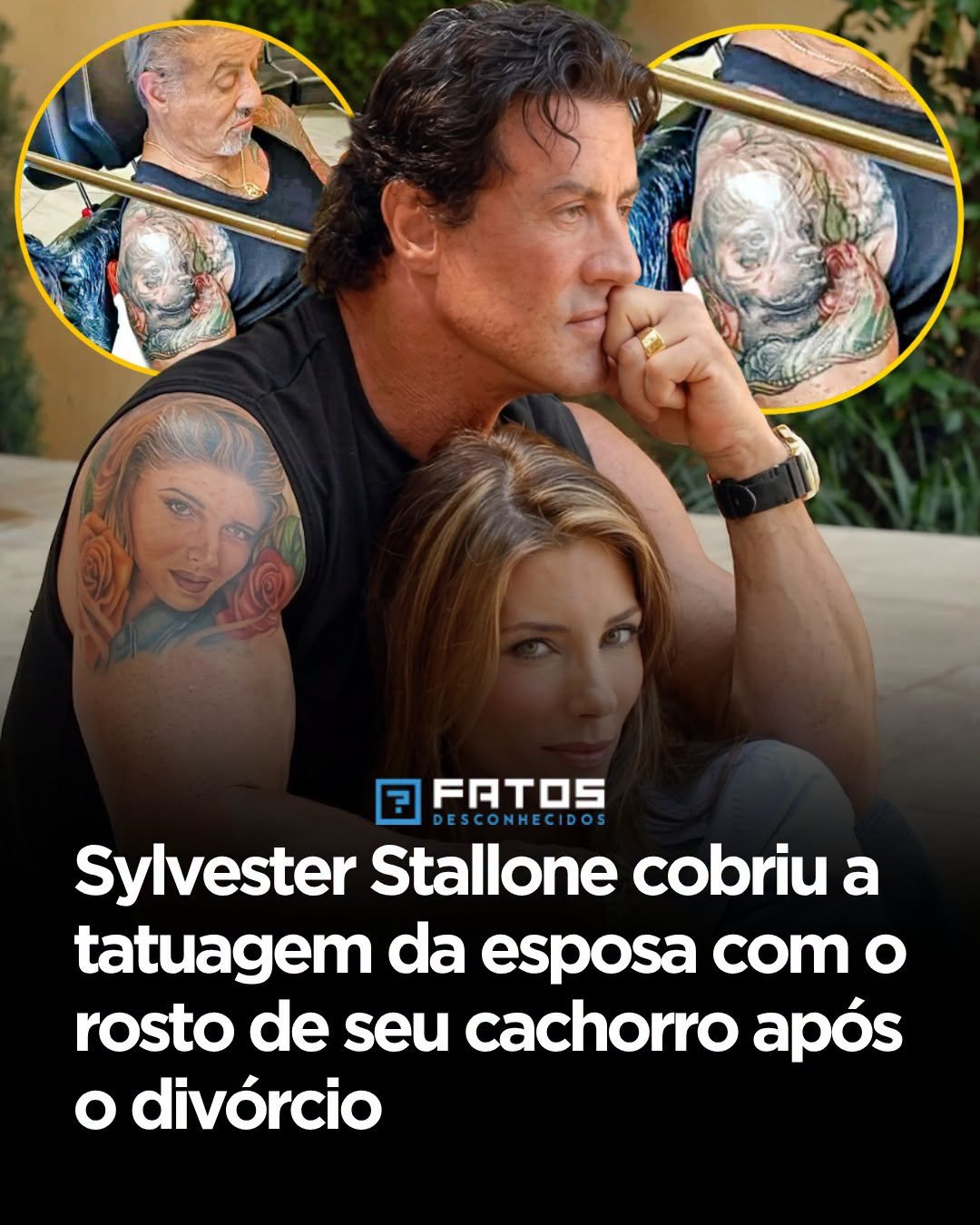 Sylvester Stallone cobriu a tatuagem da esposa com o rosto de seu cachorro apósdivórcio Sylvester Stallone cobriu a tatuagem da esposa com o rosto de seu cachorro apósdivórcio