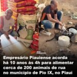 Empresário Piauiense acorda há 10 anos às 4h para alimentar cerca de 200 animais de rua no município de Pio IX, no Piauí