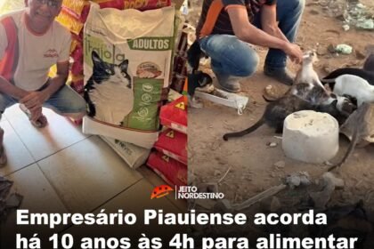 Empresário Piauiense acorda há 10 anos às 4h para alimentar cerca de 200 animais de rua no município de Pio IX, no Piauí