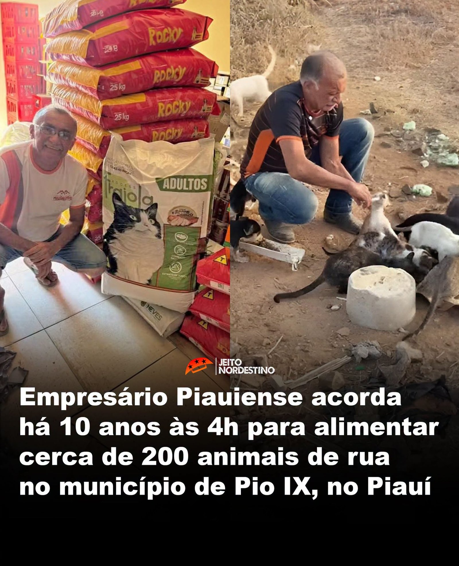 Empresário Piauiense acorda há 10 anos às 4h para alimentar cerca de 200 animais de rua no município de Pio IX, no Piauí