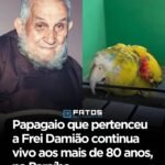 Papagaio que pertenceu a Frei Damião continua vivo aos mais de 80 anos, na Paraíba Papagaio que pertenceu a Frei Damião continua vivo aos mais de 80 anos, na Paraíba