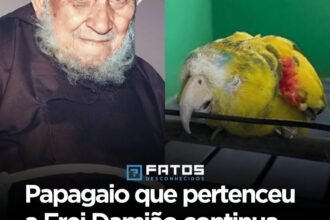 Papagaio que pertenceu a Frei Damião continua vivo aos mais de 80 anos, na Paraíba