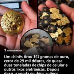Um chinês tirou 191 gramas de ouro, cerca de 29 mil dólares, de quase duas toneladas de chips de celular e outros lixos eletrônicos. Depois disso, a venda de chips antigos disparou