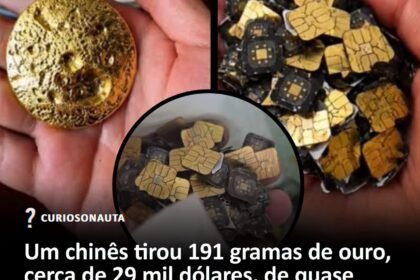 Um chinês tirou 191 gramas de ouro, cerca de 29 mil dólares, de quase duas toneladas de chips de celular e outros lixos eletrônicos. Depois disso, a venda de chips antigos disparou Um chinês tirou 191 gramas de ouro, cerca de 29 mil dólares, de quase duas toneladas de chips de celular e outros lixos eletrônicos. Depois disso, a venda de chips antigos disparou