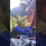 Gari se revolta ao encontrar Bíblia Sagrada jogada no lixo na Bahia!