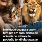 Novidade boa para quem tem pet em casa: donos de animais de estimação poderão ter direito a pagar menos Imposto de Renda Novidade boa para quem tem pet em casa: donos de animais de estimação poderão ter direito a pagar menos Imposto de Renda