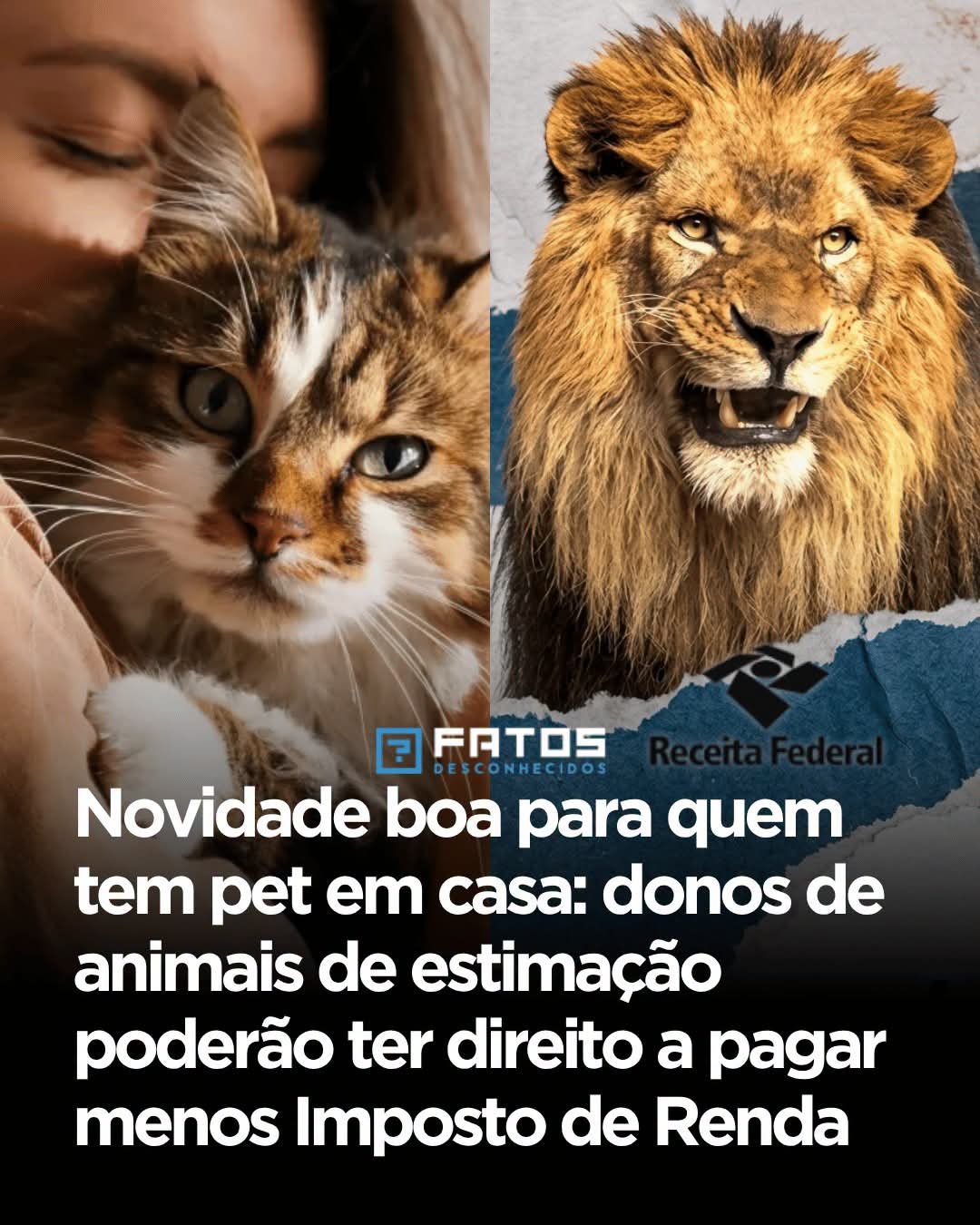 Novidade boa para quem tem pet em casa: donos de animais de estimação poderão ter direito a pagar menos Imposto de Renda