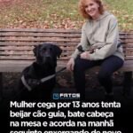 Mulher cega por 13 anos tenta beijar cão guia, bate cabeça na mesa e acorda na manhã seguinte enxergando de novo