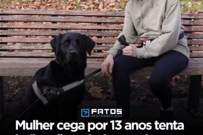 Mulher cega por 13 anos tenta beijar cão guia, bate cabeça na mesa e acorda na manhã seguinte enxergando de novo Mulher cega por 13 anos tenta beijar cão guia, bate cabeça na mesa e acorda na manhã seguinte enxergando de novo