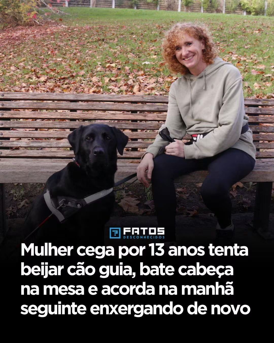 Mulher cega por 13 anos tenta beijar cão guia, bate cabeça na mesa e acorda na manhã seguinte enxergando de novo Mulher cega por 13 anos tenta beijar cão guia, bate cabeça na mesa e acorda na manhã seguinte enxergando de novo