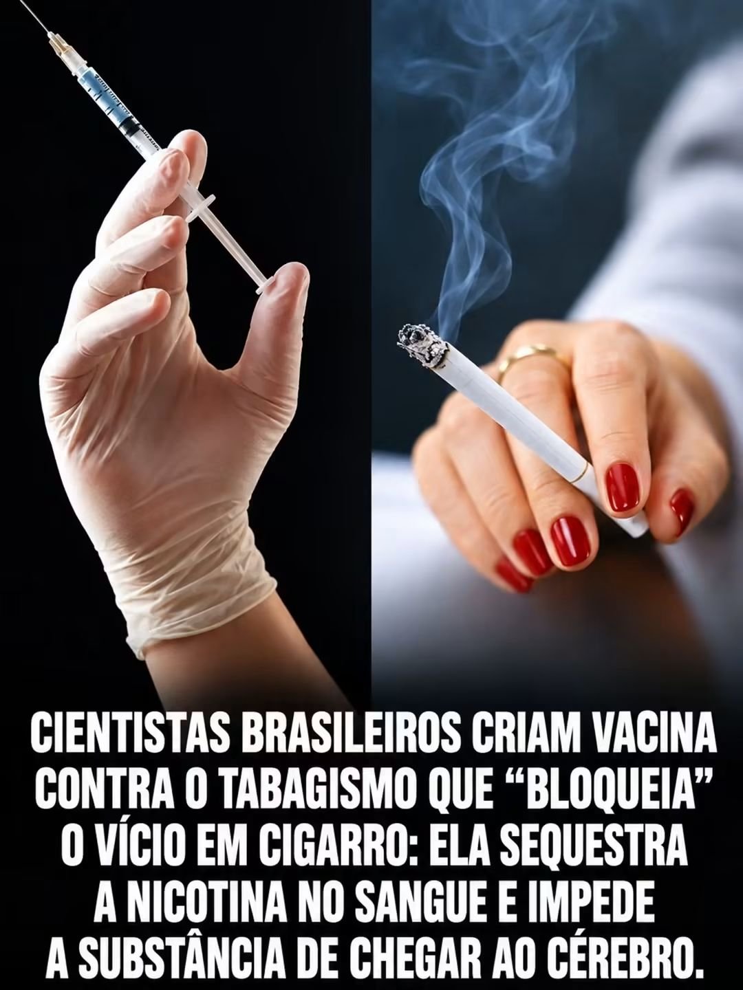 CIENTISTAS BRASILEIROS CRIAM VACINA CONTRA O TABAGISMO QUE “BLOQUEIA” O VÍCIO EM CIGARRO: ELA SEQUESTRA A NICOTINA NO SANGUE E IMPEDE A SUIDSTÂNCIA DE CHECAR AO CÉREBRO CIENTISTAS BRASILEIROS CRIAM VACINA CONTRA O TABAGISMO QUE “BLOQUEIA” O VÍCIO EM CIGARRO: ELA SEQUESTRA A NICOTINA NO SANGUE E IMPEDE A SUIDSTÂNCIA DE CHECAR AO CÉREBRO